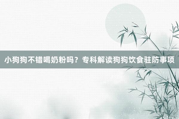 小狗狗不错喝奶粉吗？专科解读狗狗饮食驻防事项