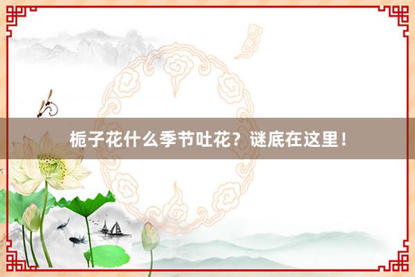 栀子花什么季节吐花？谜底在这里！